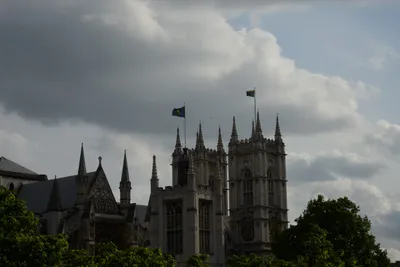 DSC_2822 (Large).JPG